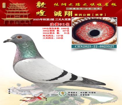 敦煌诚翔决赛91名