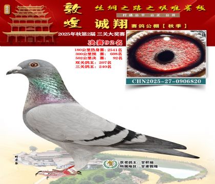 敦煌诚翔决赛92名