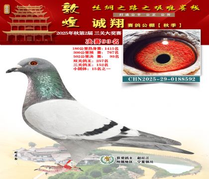 敦煌诚翔决赛93名