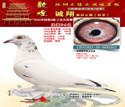 敦煌诚翔决赛94名