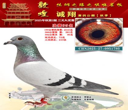 敦煌诚翔决赛95名