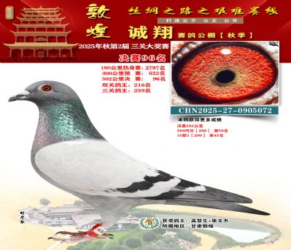 敦煌诚翔决赛96名