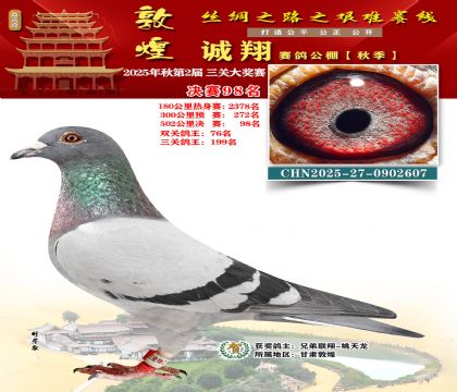 敦煌诚翔决赛98名