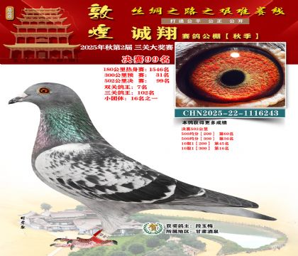 敦煌诚翔决赛99名