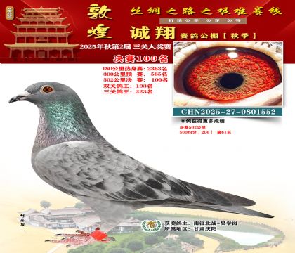 敦煌诚翔决赛100名