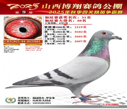 山西博翔加站赛31名