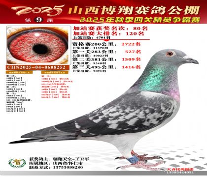 山西博翔加站赛80名