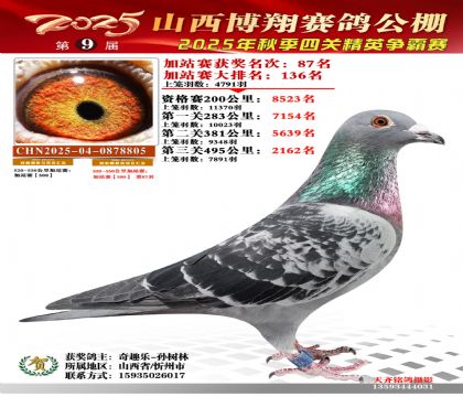 山西博翔加站赛87名