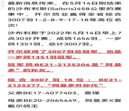 ȫƽ������Ϣ