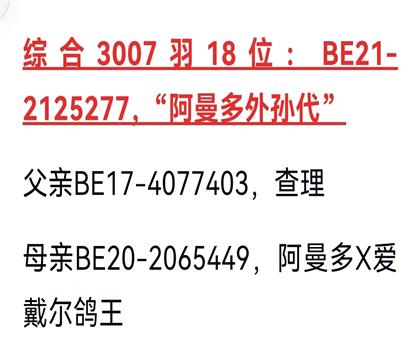 ȫƽ������Ϣ