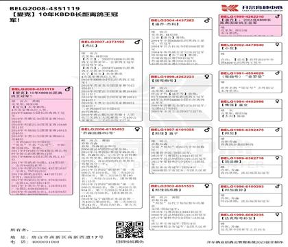 ����Ѫͳ��