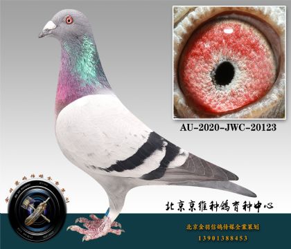 260-AU-2020-JWC-20123