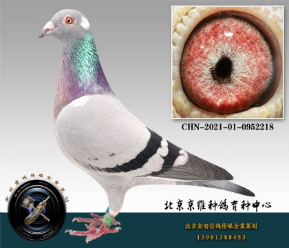 261-CHN-2021-01-0952218