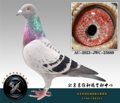 264-AU-2023-JWC-23689