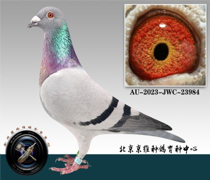 265-AU-2023-JWC-23984