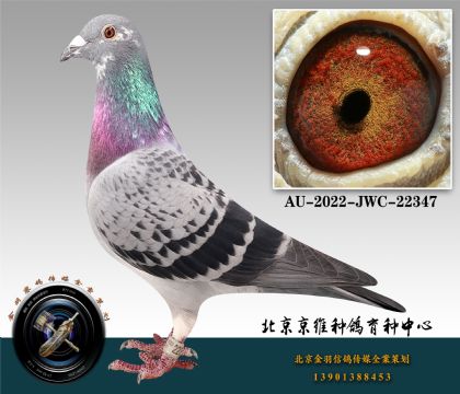 266-AU-2022-JWC-22347