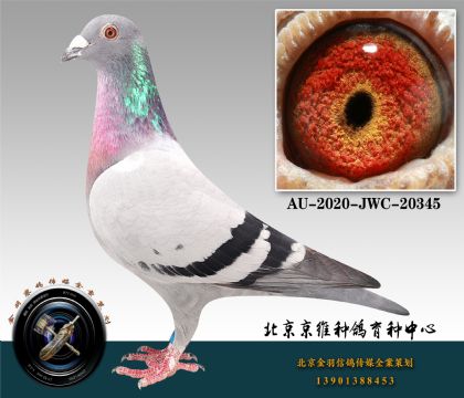 267-AU-2020-JWC-20345