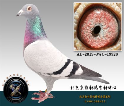 269-AU-2019-JWC-19928