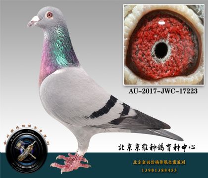 271-AU-2017-JWC-17223