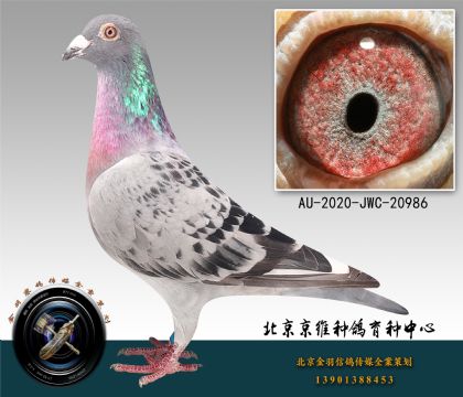 273-AU-2020-JWC-20986