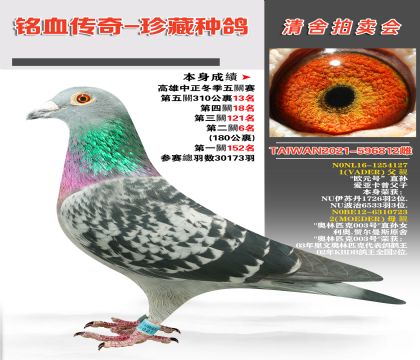 ֱ̨ŷԪšֱƥ003ֱŮ