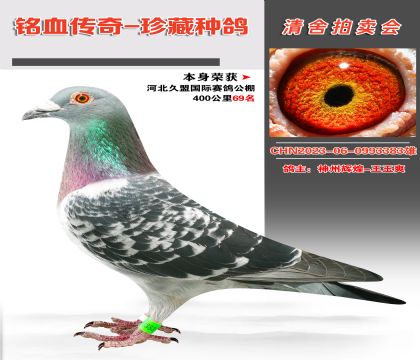 ӱ˹빫ݻԻ-ˬѡ40069