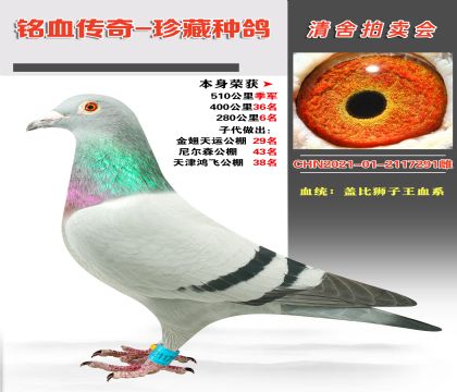 ѪͳǱʨѪϵٻ510＾