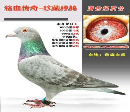 ѪͳղɭѪϵٻ650＾