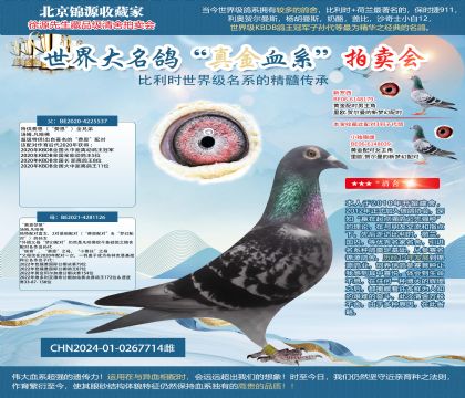 عѶȫֱֵŮ24-0267714