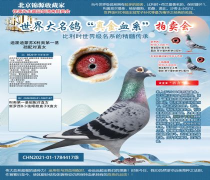 ֱXµһֱŮ21-1784417