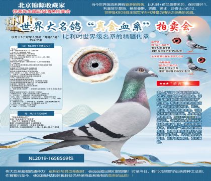 ɳʿŵµԭ-šX ֱŮ397