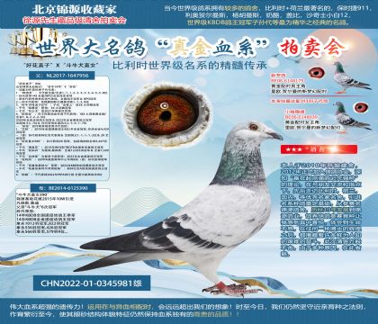 ûֱӡXţȮֱŮ22-0345981