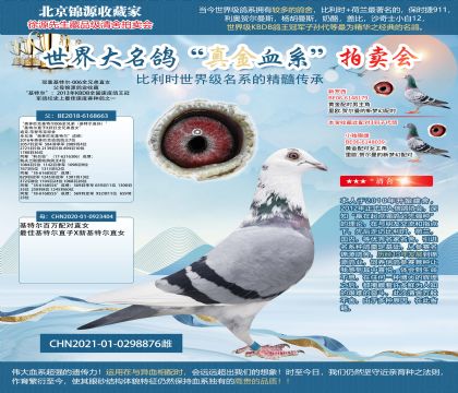 ˫ػض-006ȫֱֵŮ21-0298876