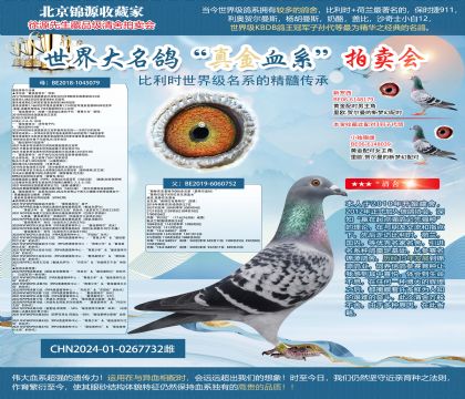 ѻضȫֱŮ24-0267732