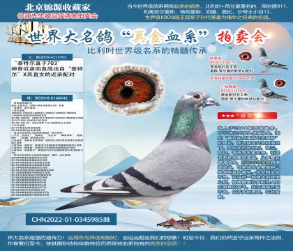 642X703ֱŮ22-0345985