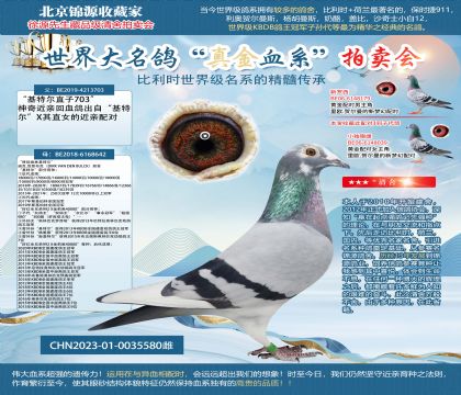 642X703ֱŮ23-0035580