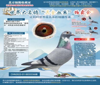 642X703ֱŮ23-0035556