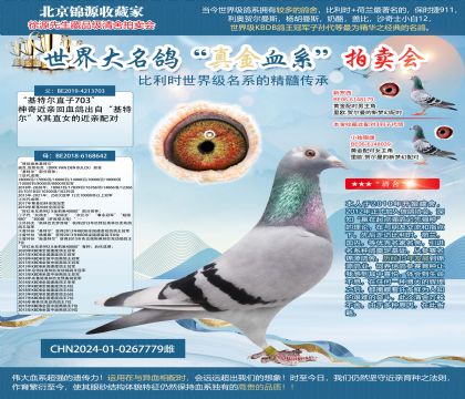 642X703ֱŮ24-0267779