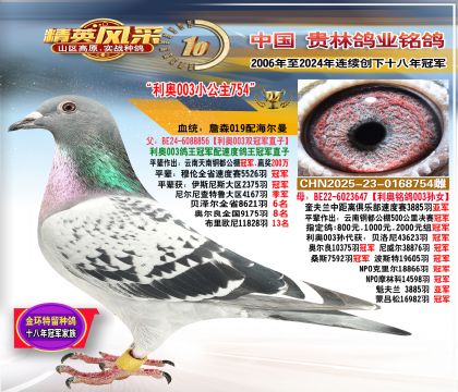 003ֱ003Ůָ.3385ǾֱŮ