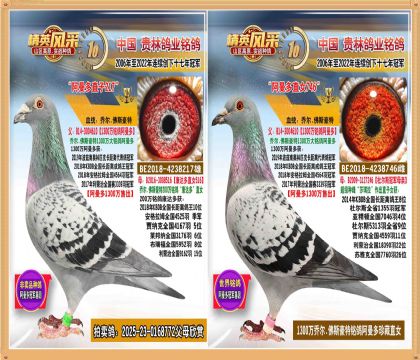 1300ֱ䰢ֱŮָ.ƽǾ