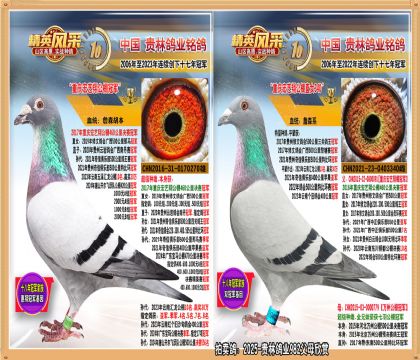 蹫ھֱ.ƽ500ھ.17ھ