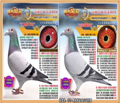 11ھֱ11ھֱŮ.ƽھ.