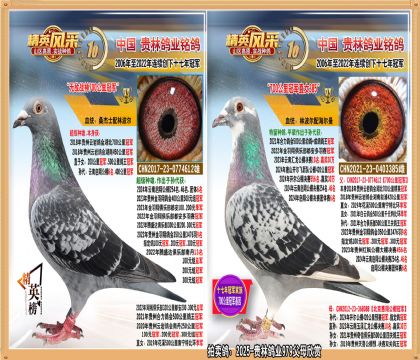 700ھֱŮ.ƽھ.㹫74