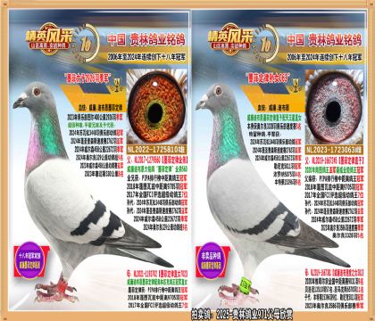 īƶֱīƶŮ.2926𼾾ֱ	