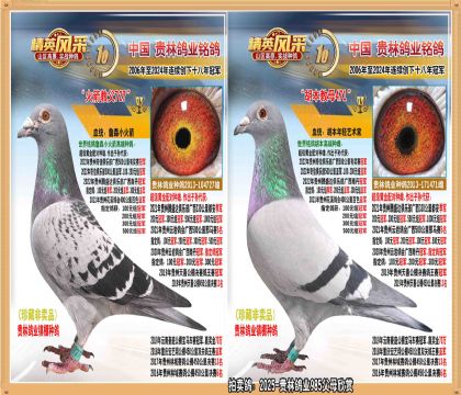 ƽֱŮ.ƽ500ھ.㹫74.138