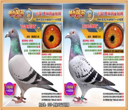 3Ǿ3𼾾ֱ.ͬĸƽĴھ