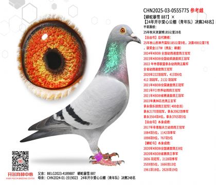 ߱ѩ 88724꿪Ĺӣ248