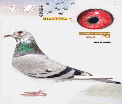 ǿţ̩¡ˣƽĹظظǾ