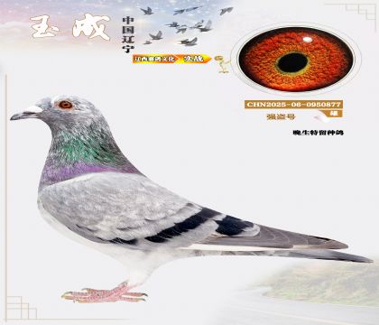 ǿţ̩¡ˣƽĹظظǾ