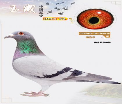 ǿţ̩¡ˣƽĹظظǾ